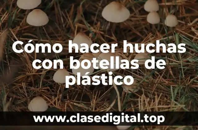 Cómo hacer huchas con botellas de plástico