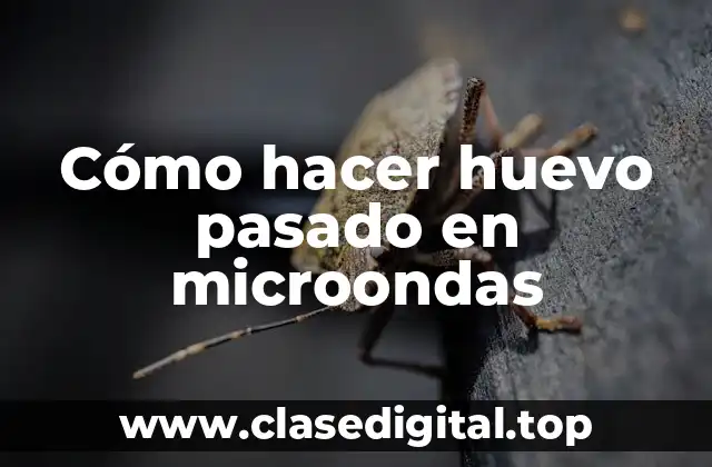 Cómo hacer huevo pasado en microondas
