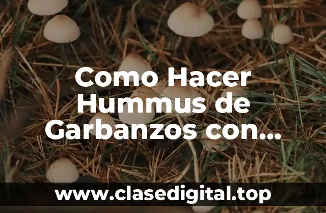 ¿Qué es el Hummus de Garbanzos con Tahini y para Qué Sirve?