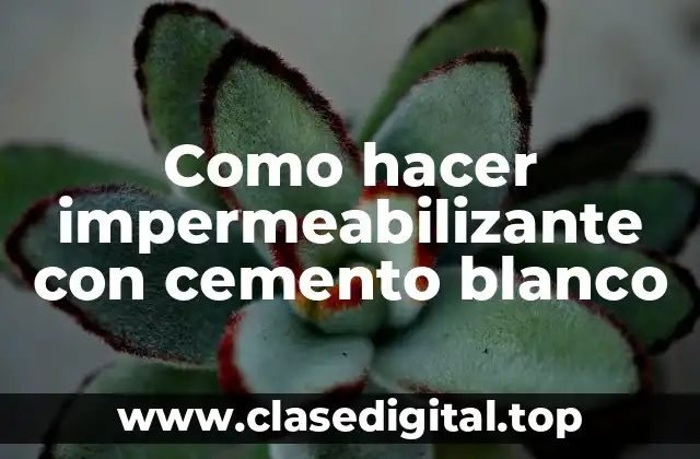 Como hacer impermeabilizante con cemento blanco
