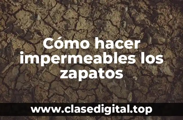 Cómo hacer impermeables los zapatos
