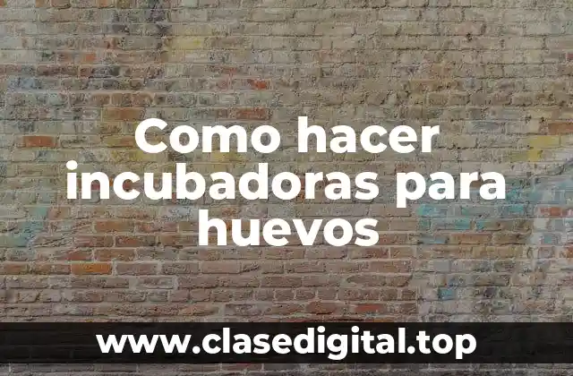 Como hacer incubadoras para huevos