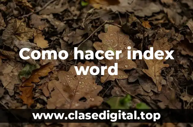Como hacer index word