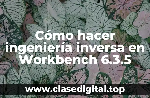 Cómo hacer ingeniería inversa en Workbench 6.3.5