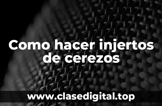 Como hacer injertos de cerezos