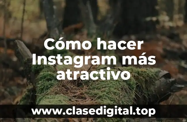 Cómo hacer Instagram más atractivo