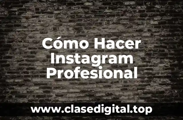 Cómo Hacer Instagram Profesional