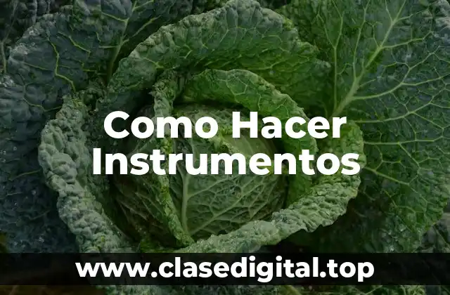 Como Hacer Instrumentos
