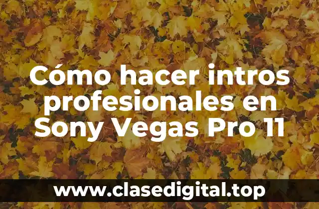 Cómo hacer intros profesionales en Sony Vegas Pro 11