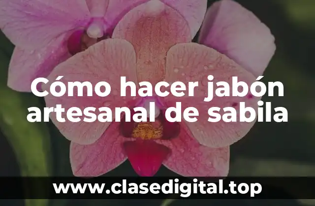 Cómo hacer jabón artesanal de sabila