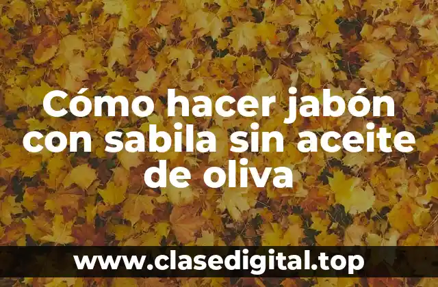 Cómo hacer jabón con sabila sin aceite de oliva