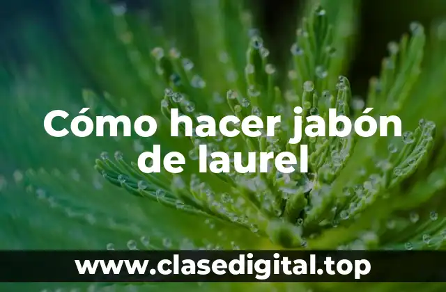 Cómo hacer jabón de laurel
