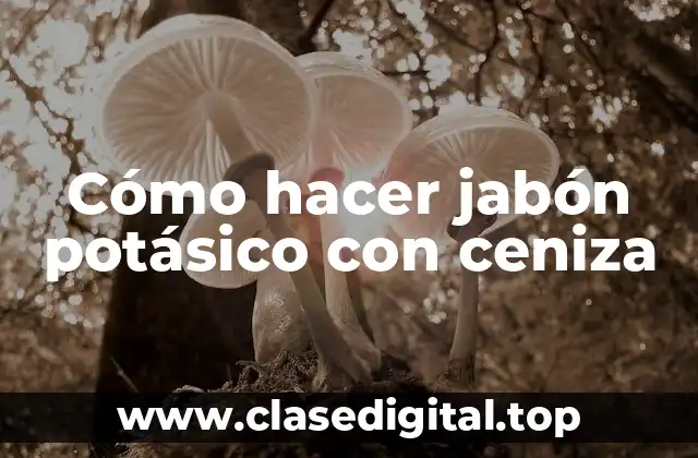 Cómo hacer jabón potásico con ceniza