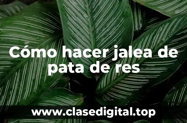 Cómo hacer jalea de pata de res