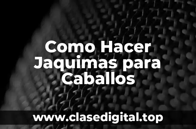 ¿Qué son las Jaquimas para Caballos?