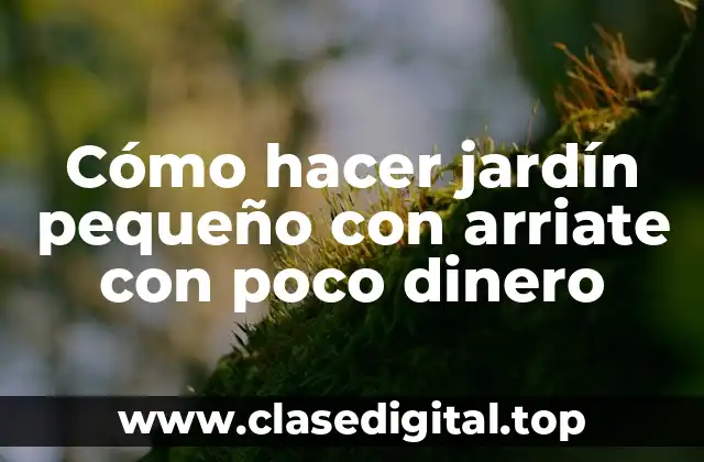 Cómo hacer jardín pequeño con arriate con poco dinero