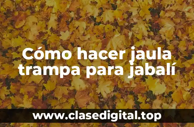 ¿Qué es una jaula trampa para jabalí y para qué sirve?