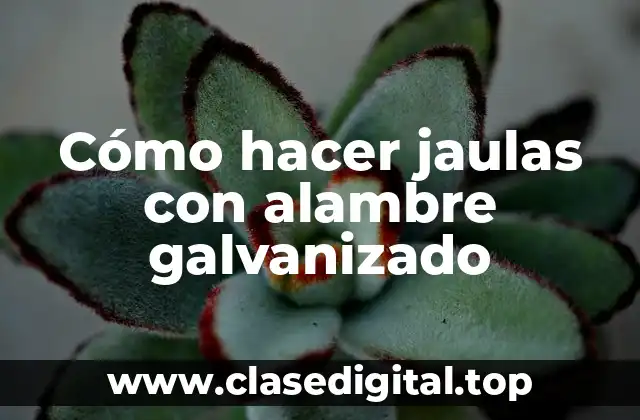 Cómo hacer jaulas con alambre galvanizado