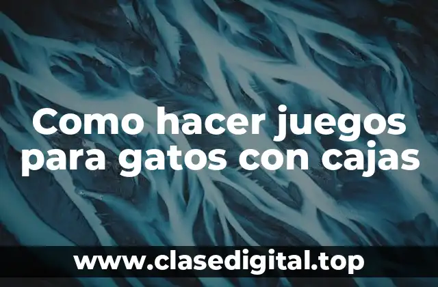 Como hacer juegos para gatos con cajas