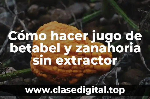Cómo hacer jugo de betabel y zanahoria sin extractor