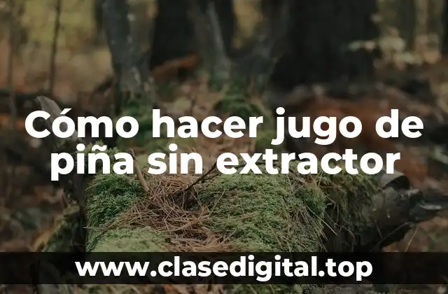 Cómo hacer jugo de piña sin extractor