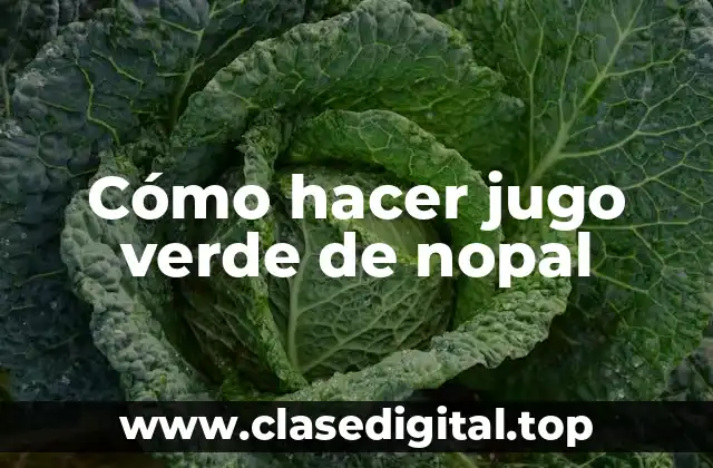 Cómo hacer jugo verde de nopal