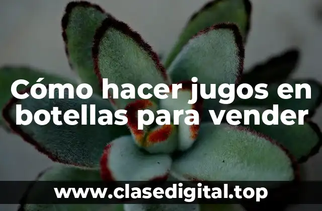Cómo hacer jugos en botellas para vender
