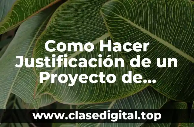 Como Hacer Justificación de un Proyecto de Estrategia Publicitaria