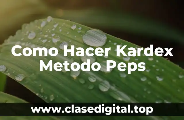 Como Hacer Kardex Metodo Peps