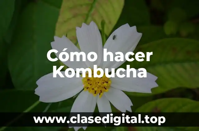 Cómo hacer Kombucha
