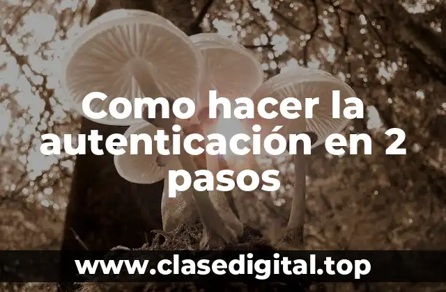 Como hacer la autenticación en 2 pasos