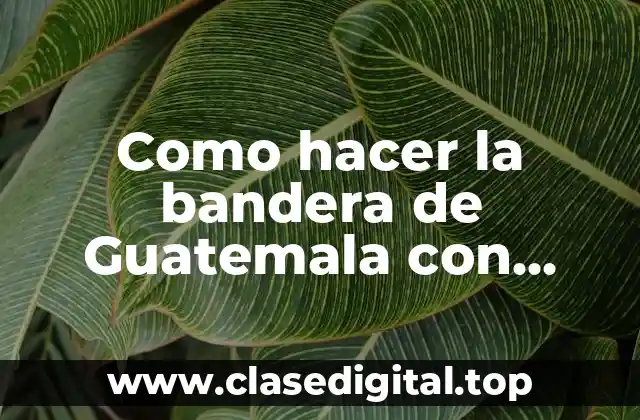 Como hacer la bandera de Guatemala con reciclaje
