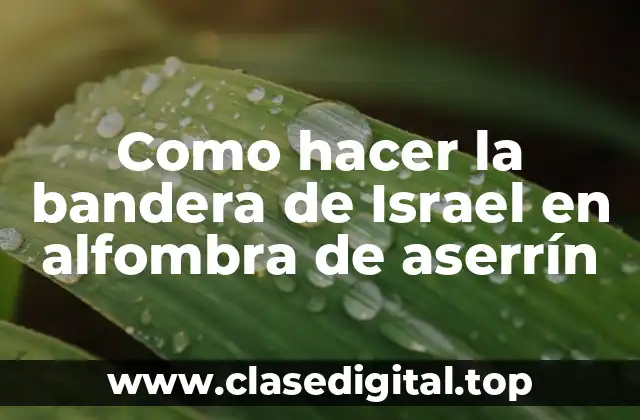 Como hacer la bandera de Israel en alfombra de aserrín