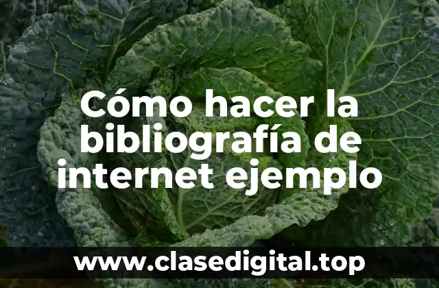 Cómo hacer la bibliografía de internet ejemplo