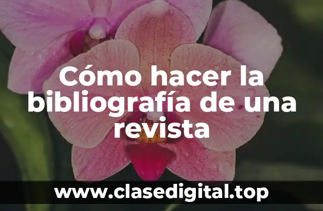 Cómo hacer la bibliografía de una revista