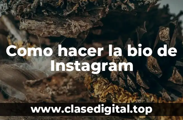 Como hacer la bio de Instagram