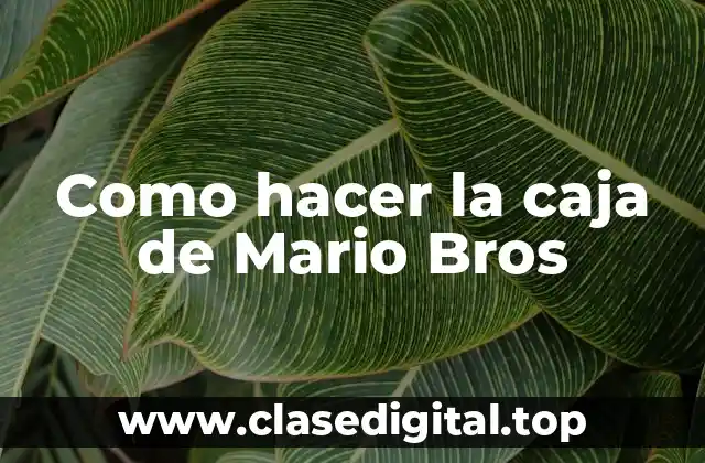 Como hacer la caja de Mario Bros