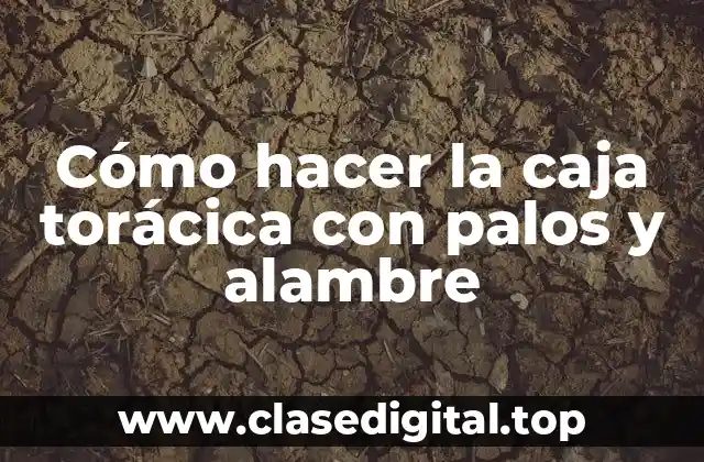 Caja torácica con palos y alambre