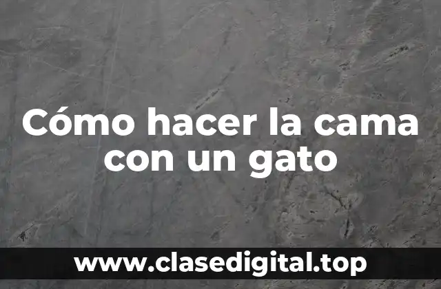 Cómo hacer la cama con un gato