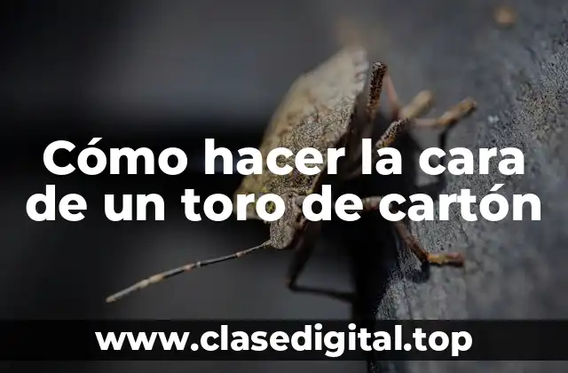 Cómo hacer la cara de un toro de cartón