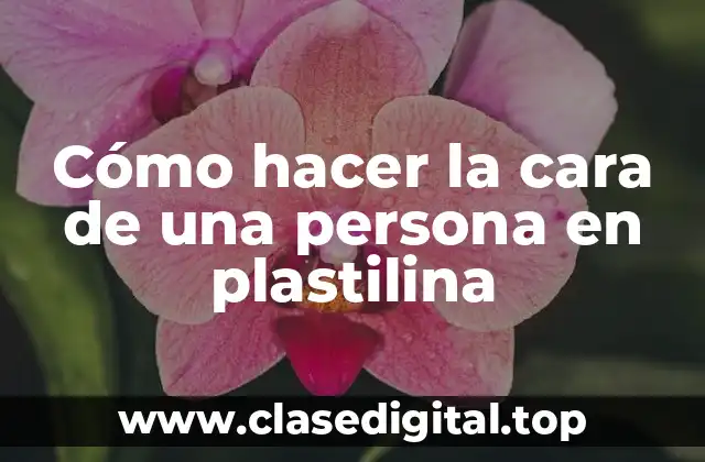 Cómo hacer la cara de una persona en plastilina