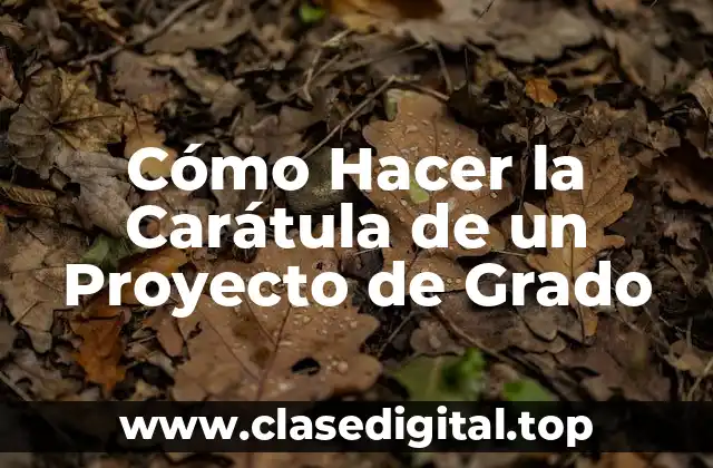 Qué es una Carátula de Proyecto de Grado y para qué Sirve