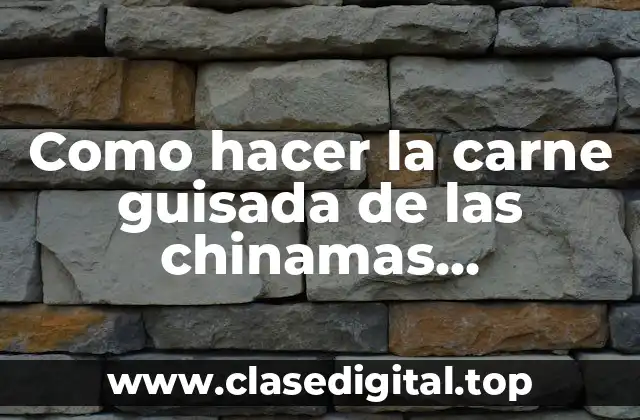 ¿Qué es la carne guisada de las chinamas ahuachapan?