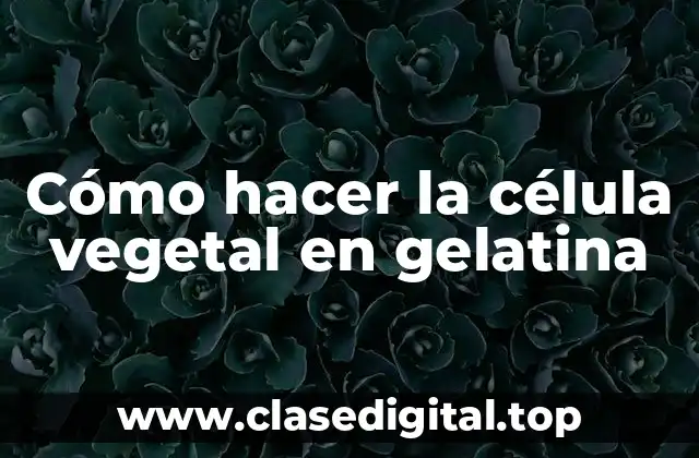 Cómo hacer la célula vegetal en gelatina