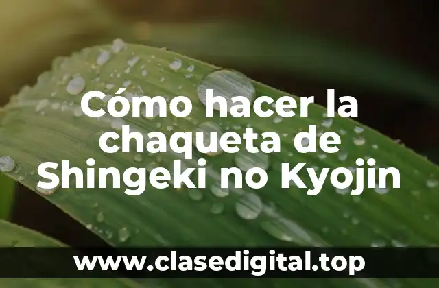 Cómo hacer la chaqueta de Shingeki no Kyojin