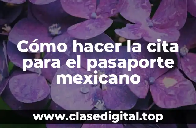 Cómo hacer la cita para el pasaporte mexicano
