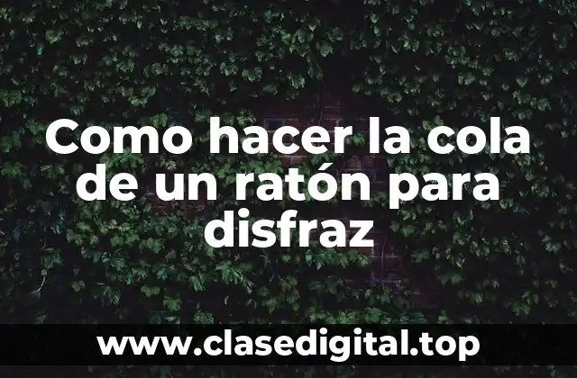 ¿Qué es una cola de ratón para disfraz y para qué sirve?