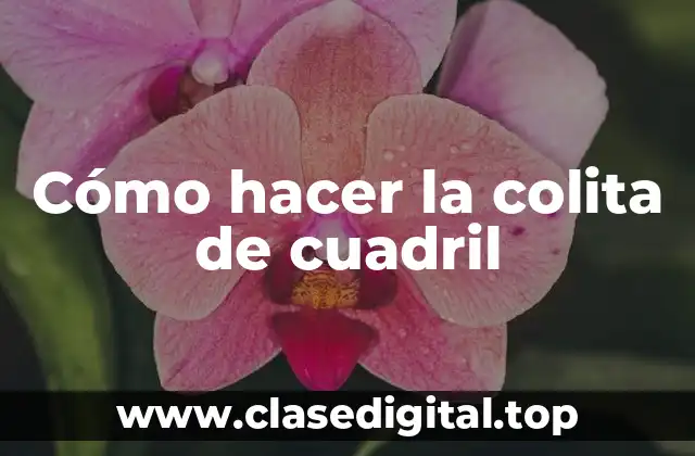 Cómo hacer la colita de cuadril