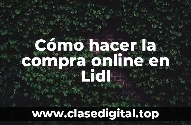 ¿Qué es la compra online en Lidl?