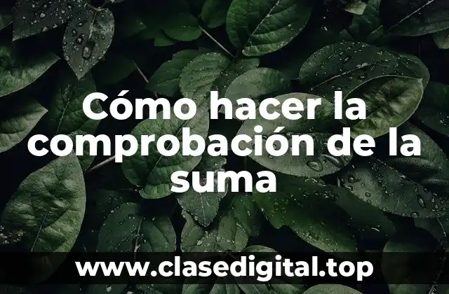 Comprobación de la suma